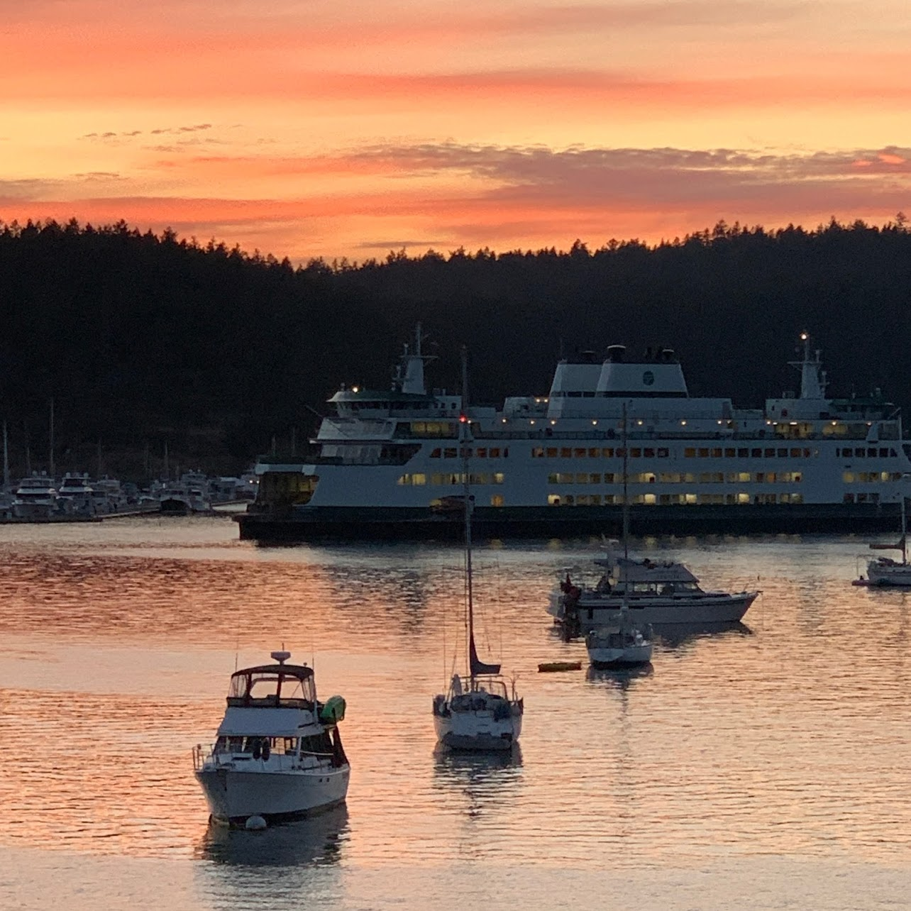 Washington State Ferries Friday Harbor | The Web Suites